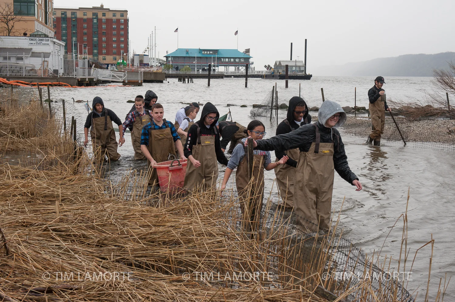 Sarah Mount leads participants through the salt marsh after collecting eels.
