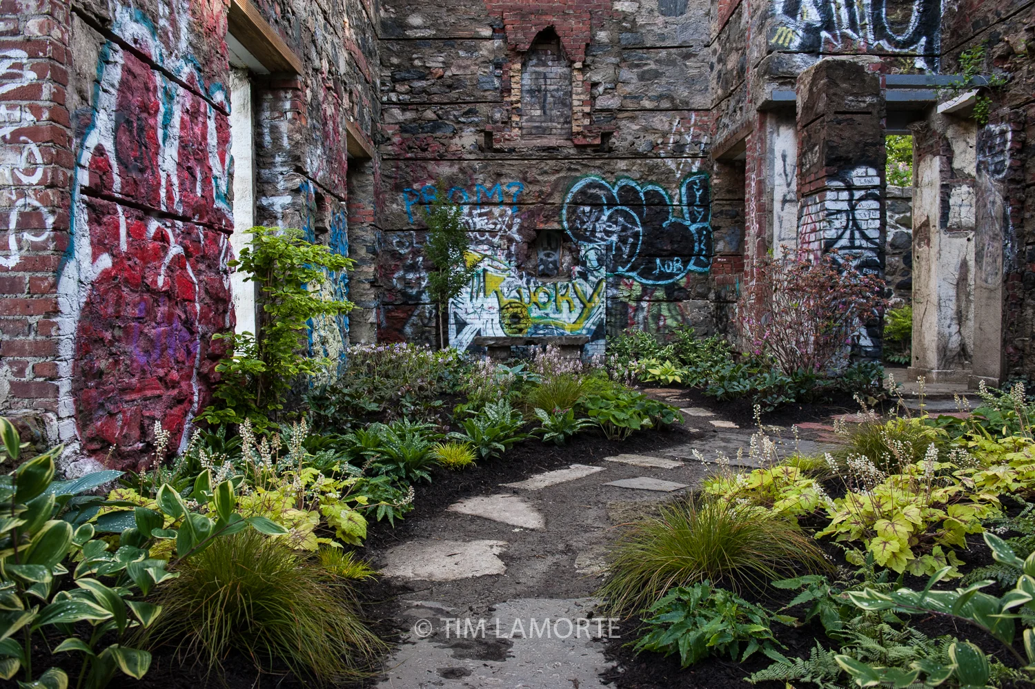 The ruin garden