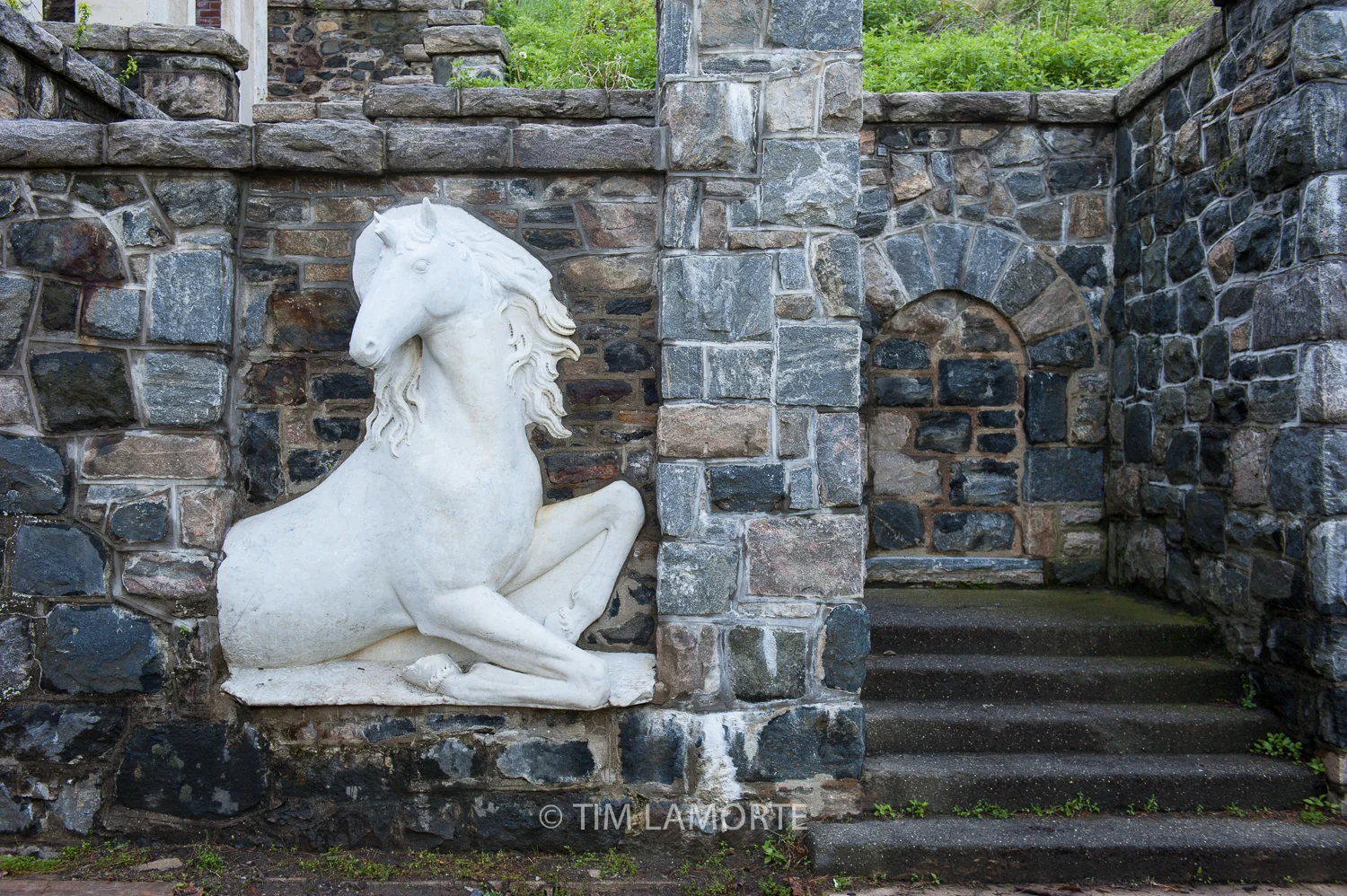 The unicorn below the ruin garden