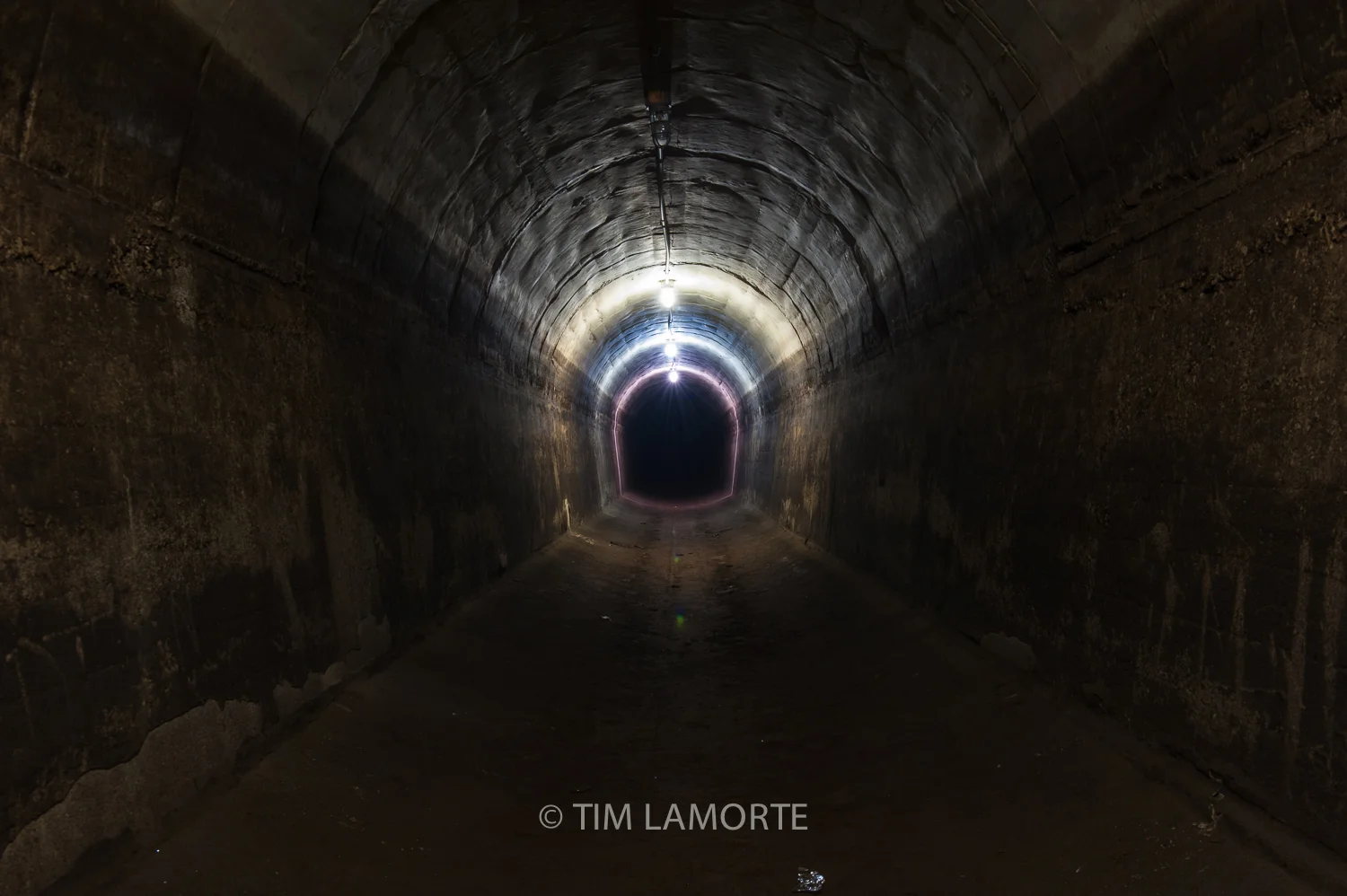 Lamorte-3043.jpg
