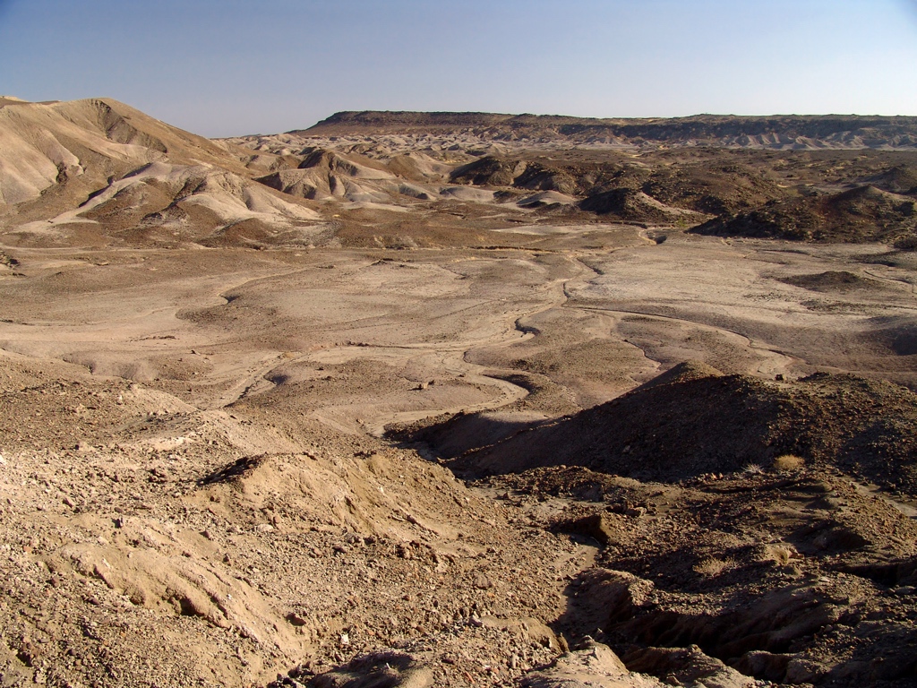 Lee Adoyta Basin (2.67 Ma) in the LGRP area - photo by Eric Scott