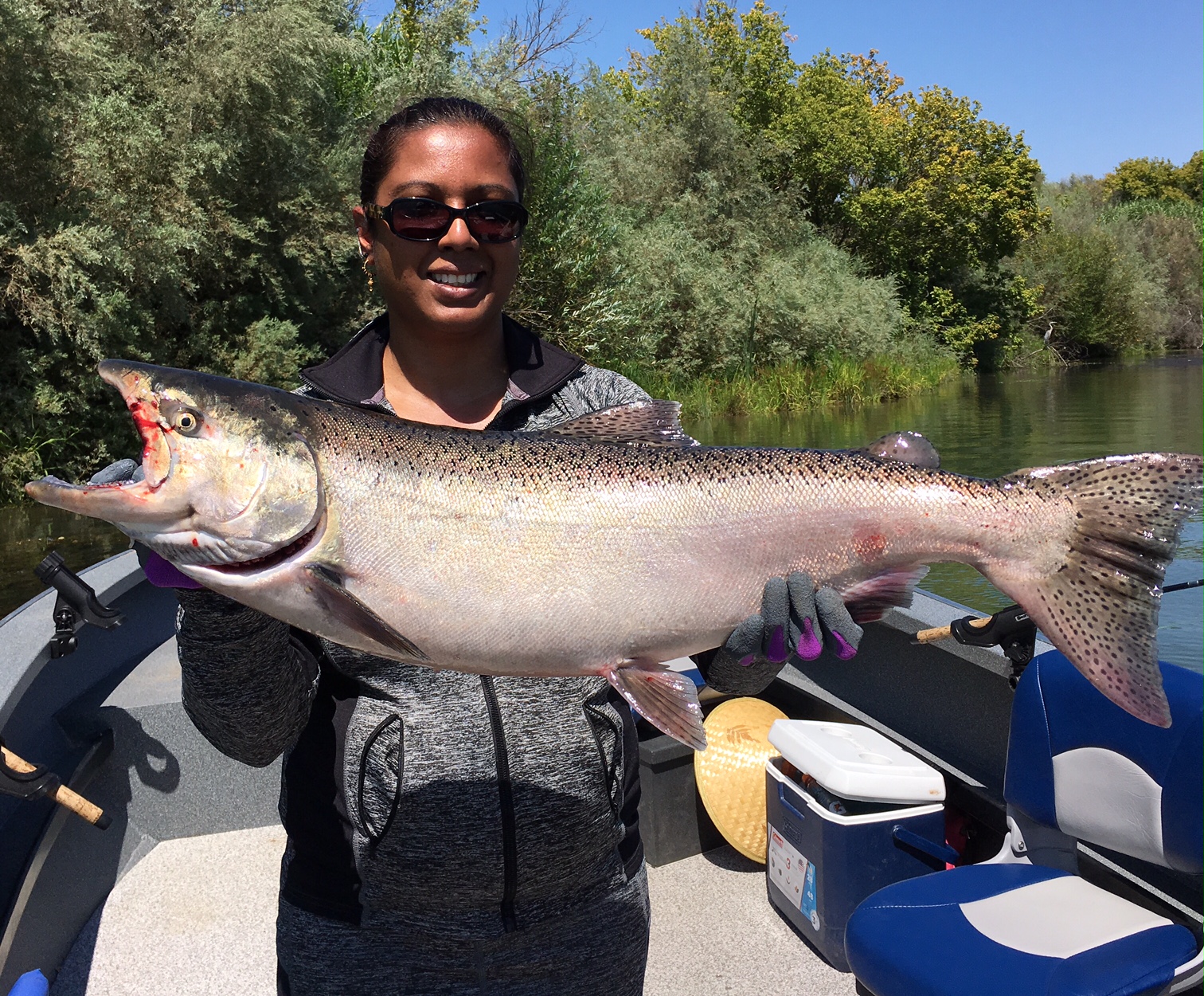 Sacramento river salmon fishing 8 6 2016 2.jpg