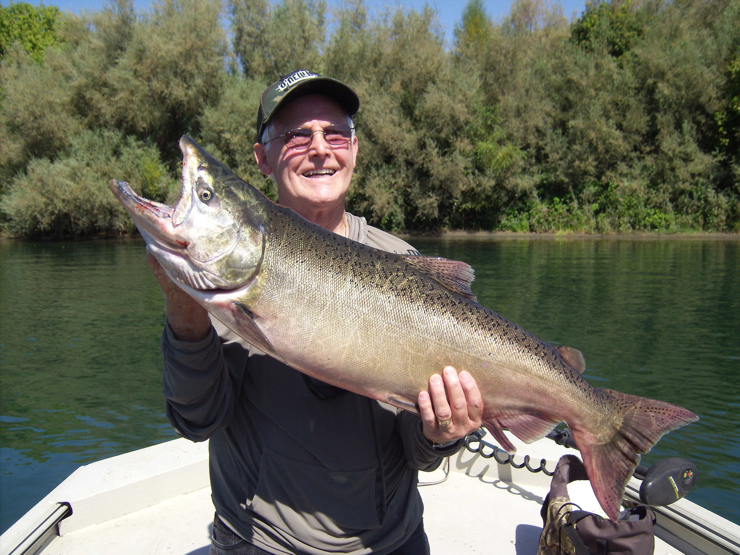 sacramento river salmon fishing 9 7 12 4.JPG