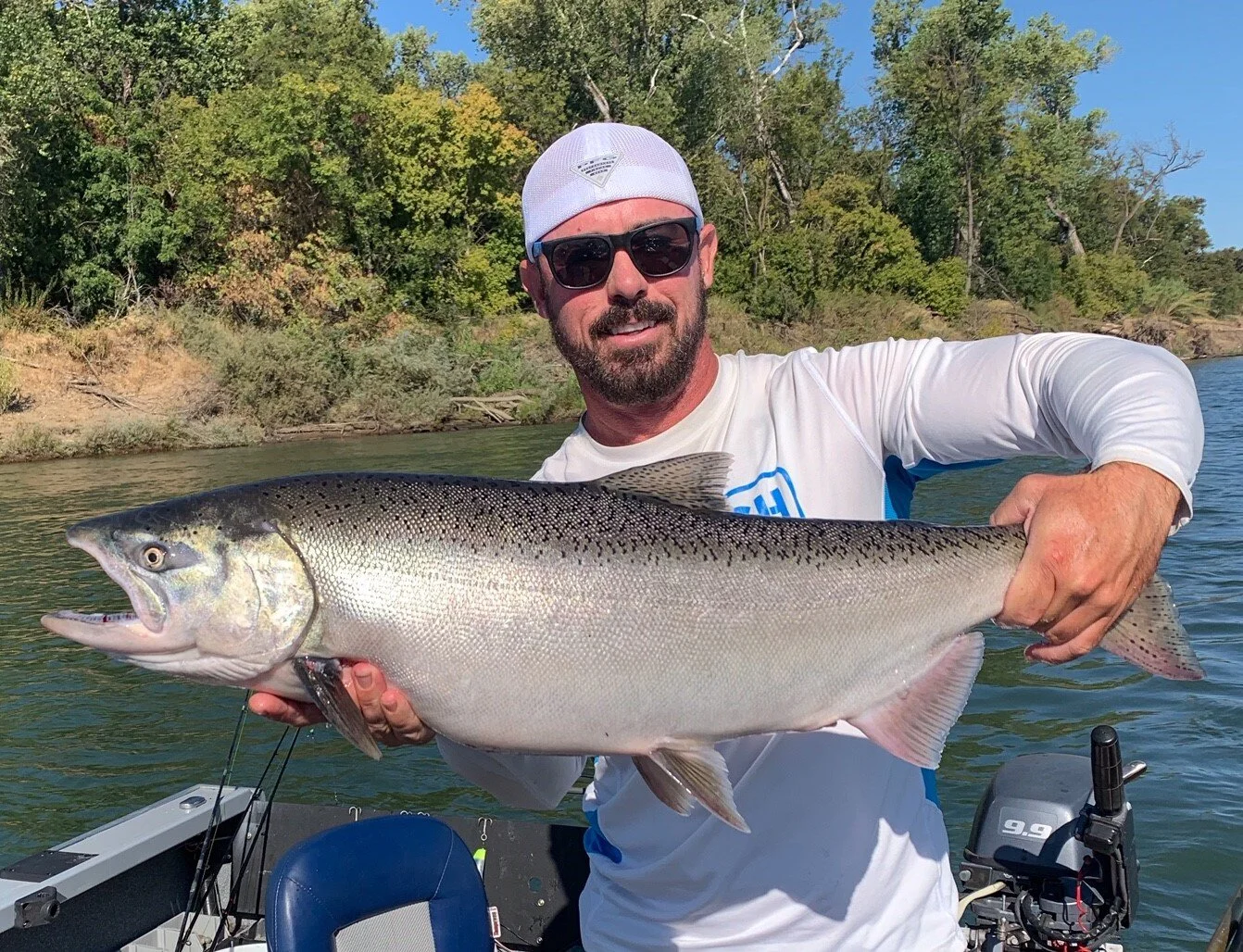 Sacramento river salmon fishing rates 2017, Sacramento river salmon fishing reports and guides