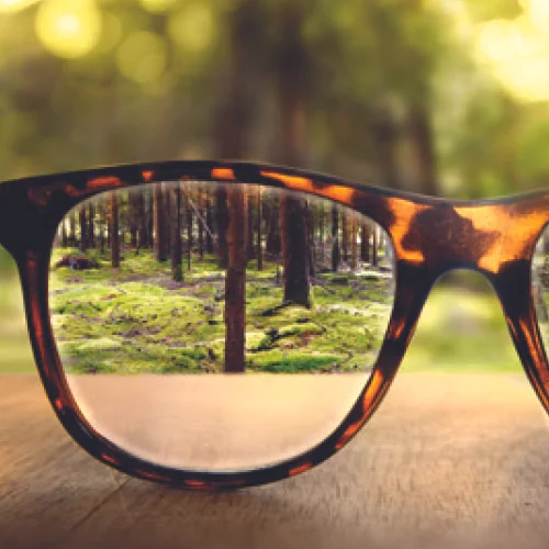 Casting Vision
