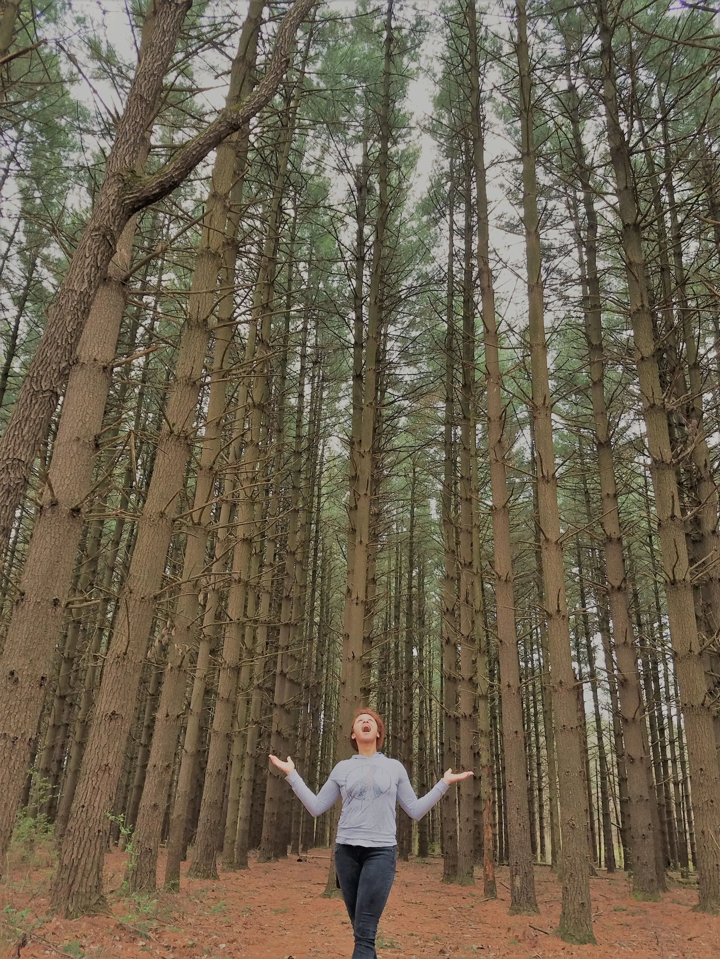 I'm free :)