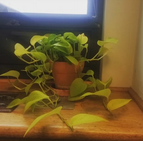 Screenshot_20180907-203248_Instagram.jpg