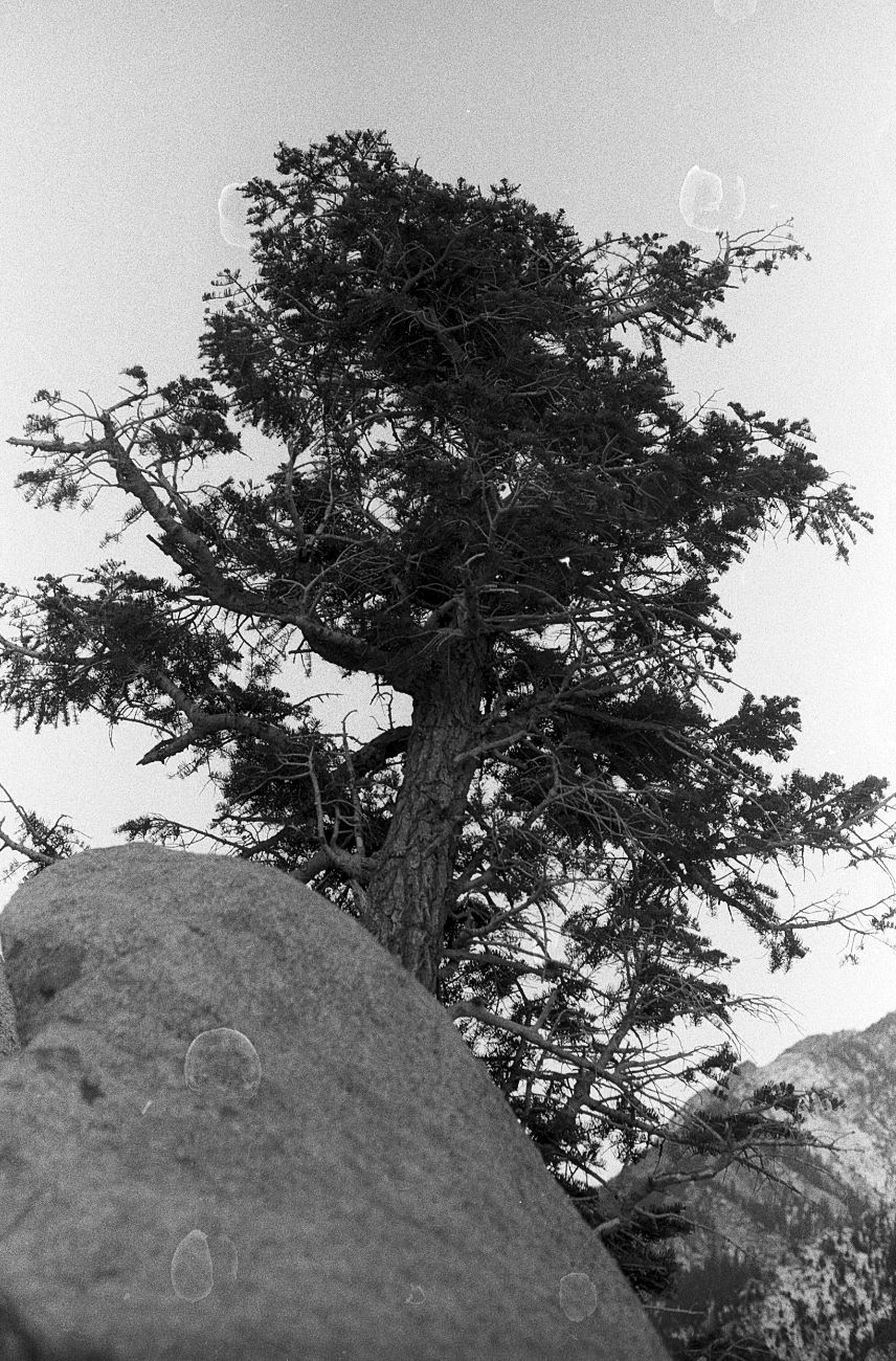 Top of the route