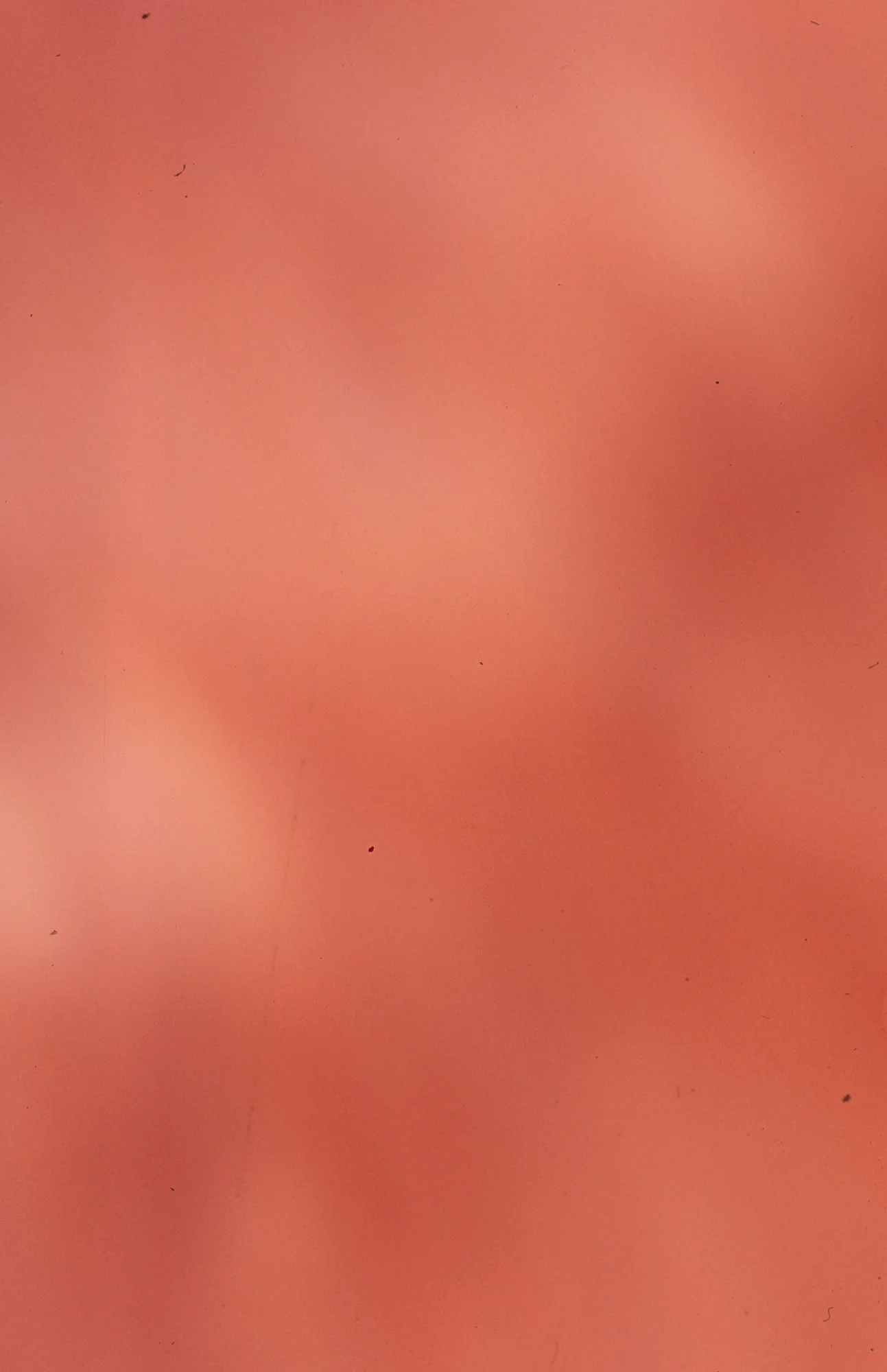I fired the shutter on accident