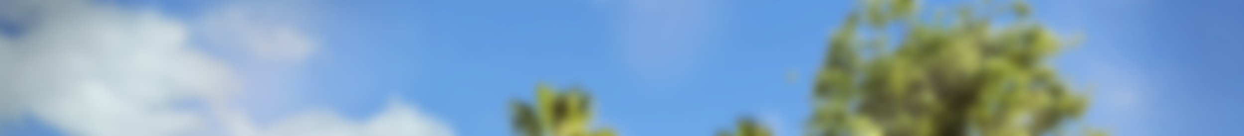 C1_rancho_SMA_02 copy.png