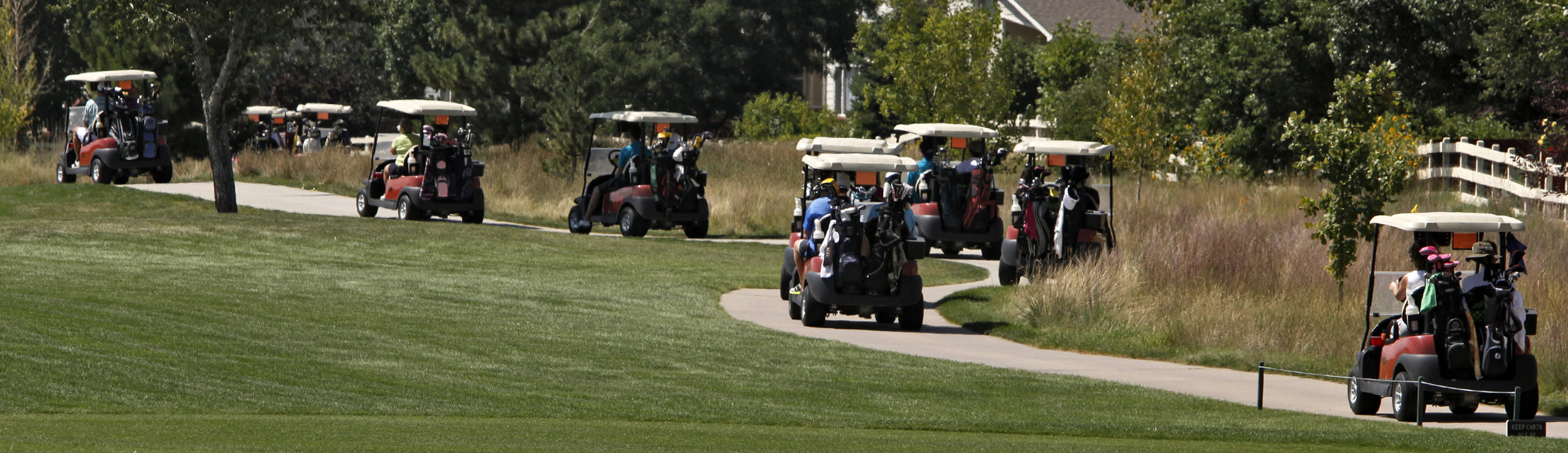 2014_Logan_Golf_Tournament_0017.jpg