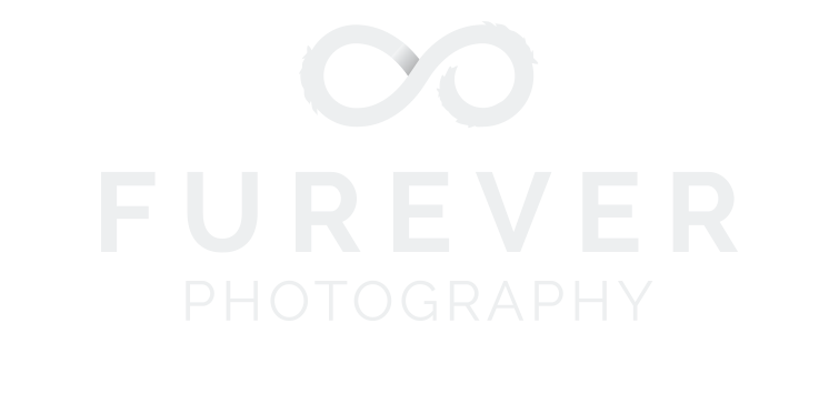 FUREVER Photography