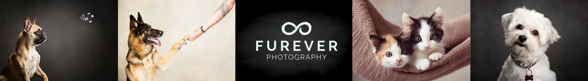 Banner for email Smaller.jpg