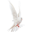 White Dove small flip.png