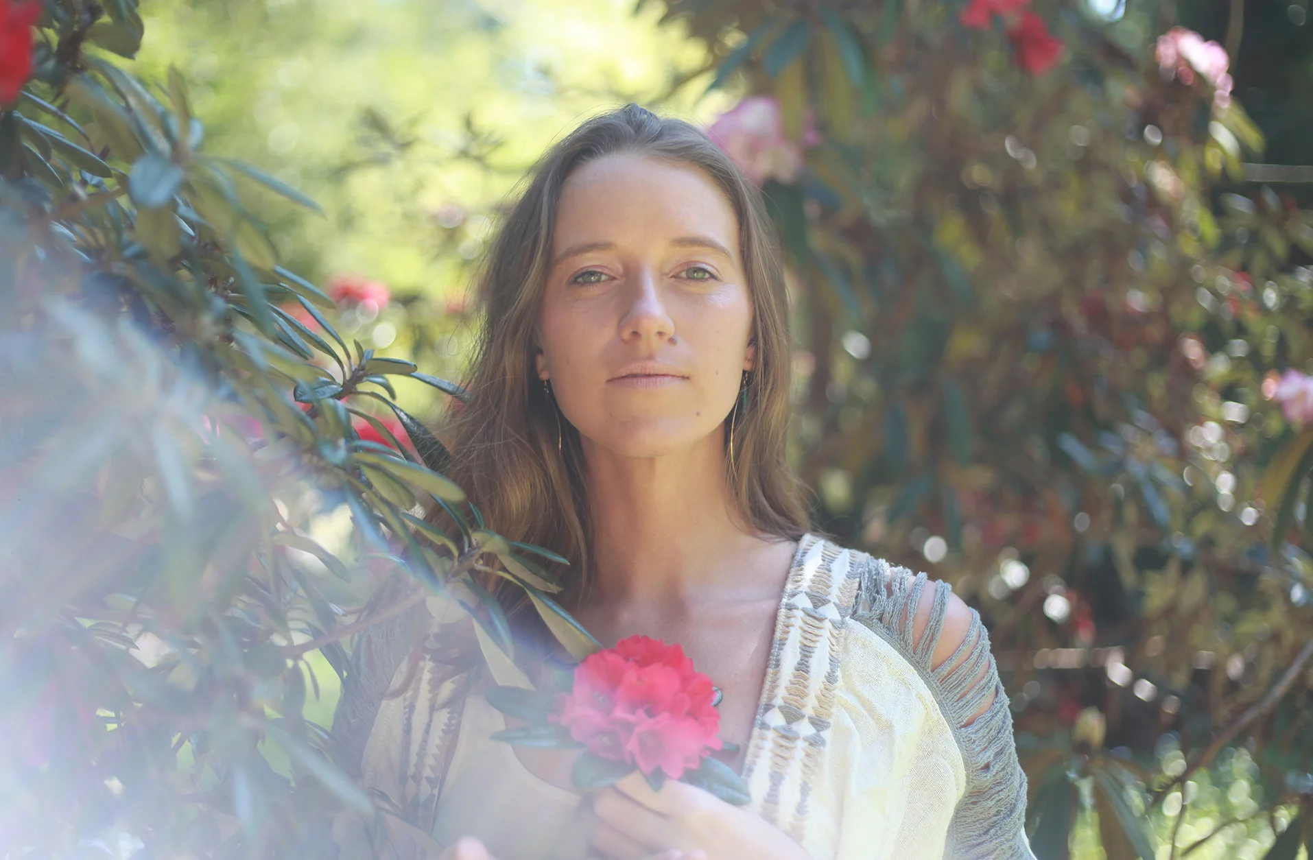 Flower and light.jpg