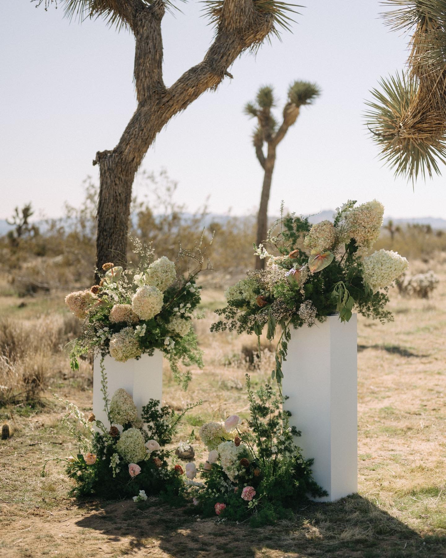 Nothing beats details at the desert! **manifesting being back there soon 
.
.
. 
Host/Planning &amp; Design: @wildeandsageco
Florals: @honeybloomflorals
Signage: @blushwoodco
Stationery: @noteworthyco
Rentals: @brighteventrentals @wildeandsageco
Bar/