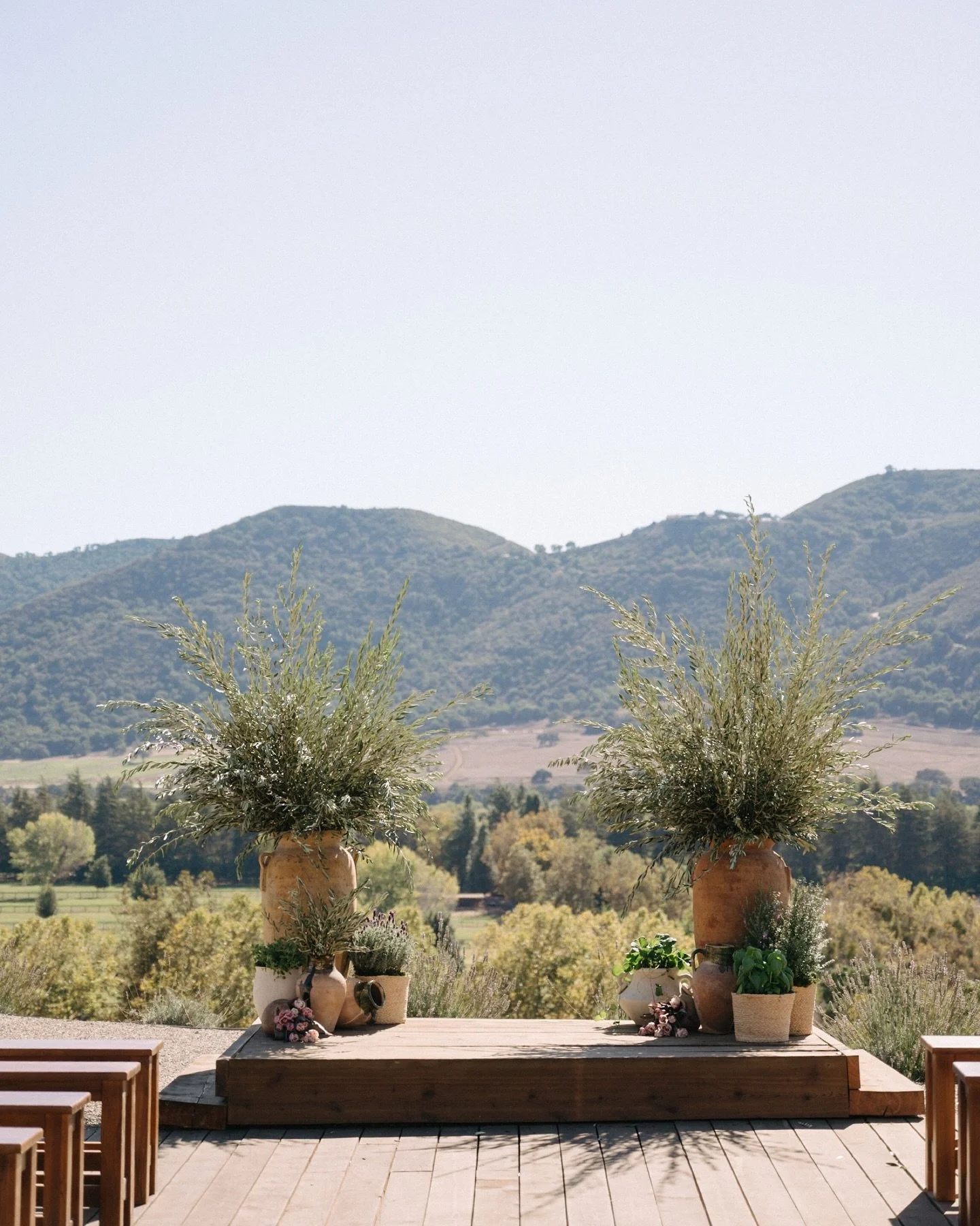Rachel + Jason’s wedding - an absolute dream