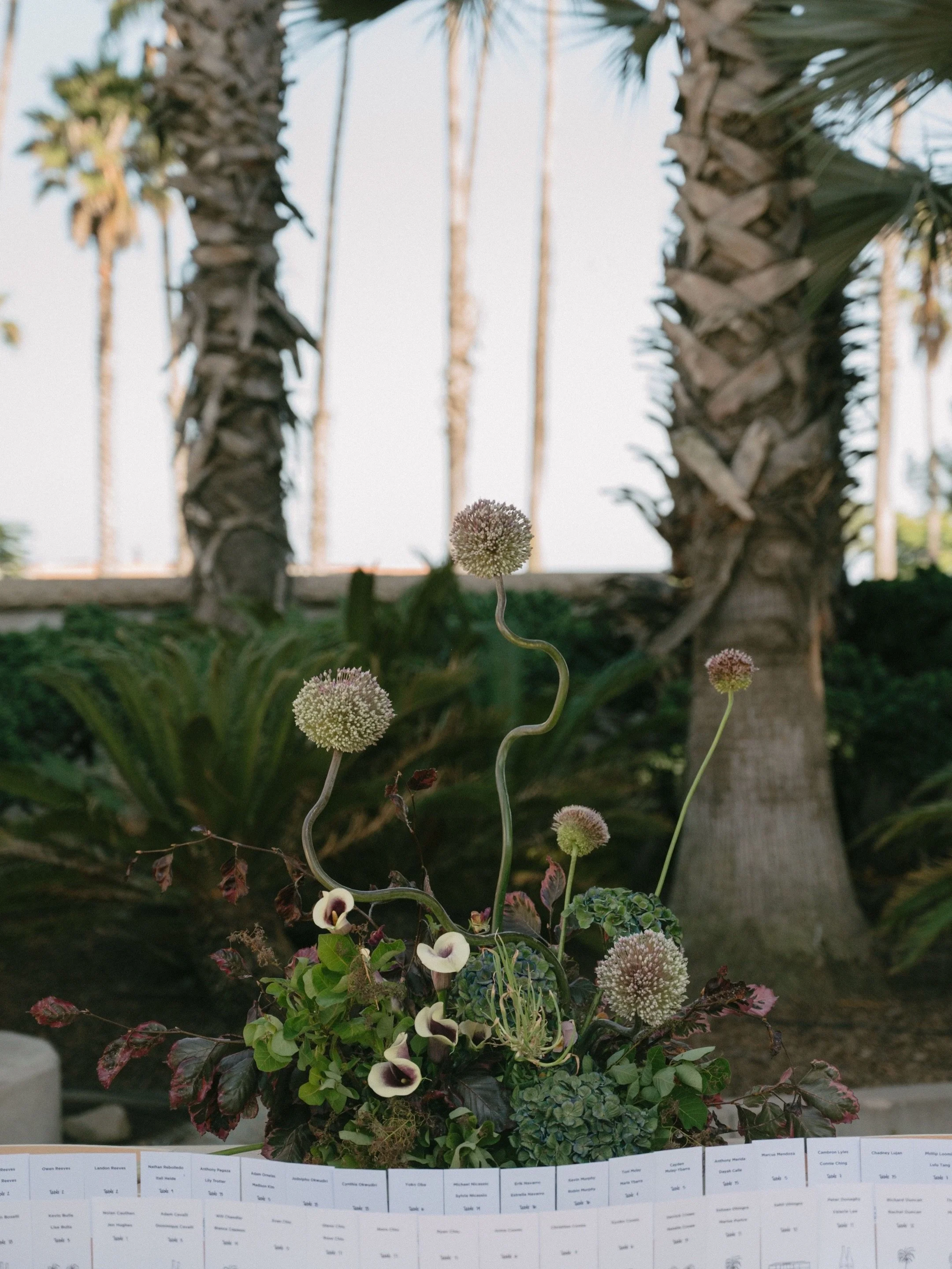 So many goodies from this day // shot for @mazelmaphotography