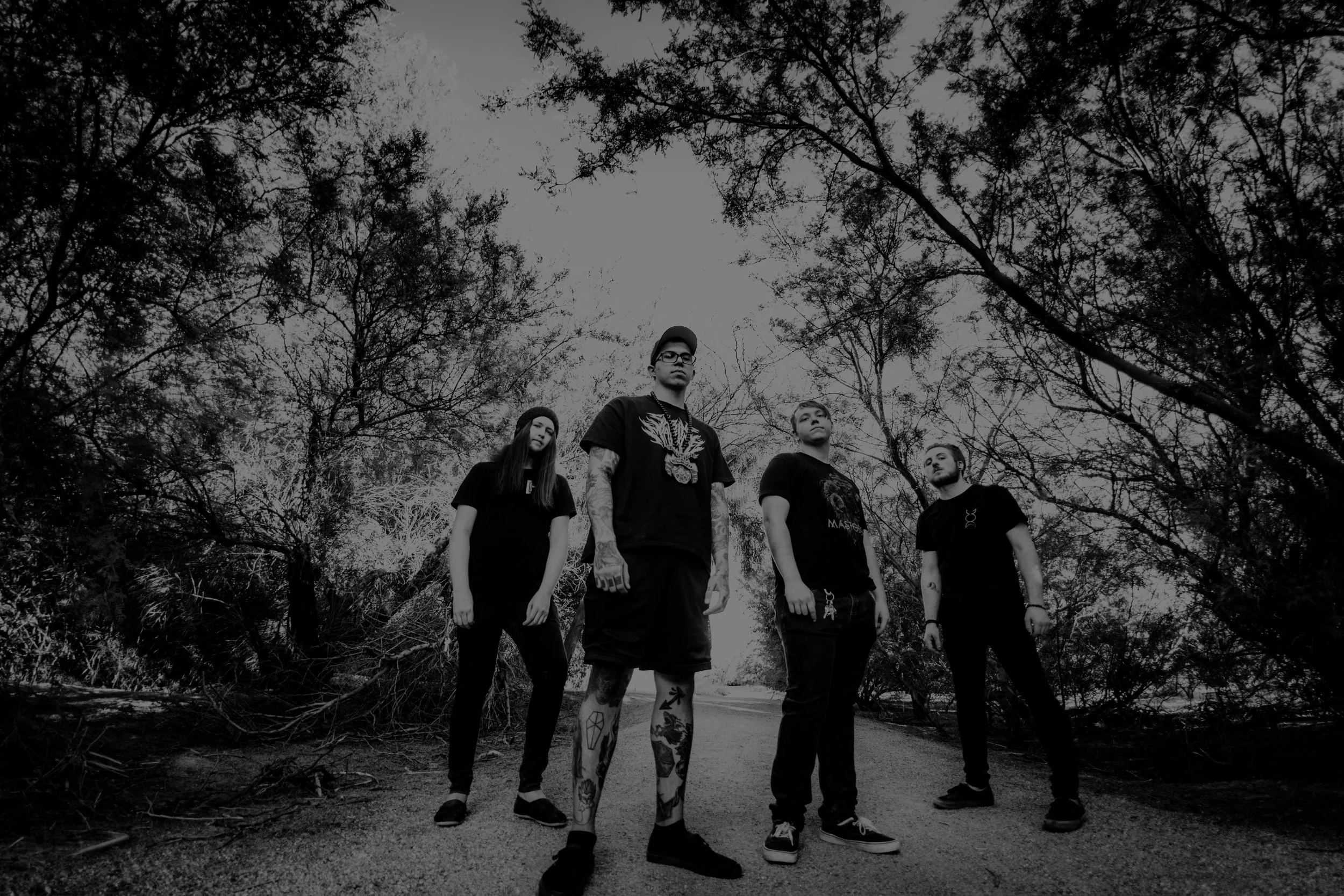 NAVARRE PROMOS