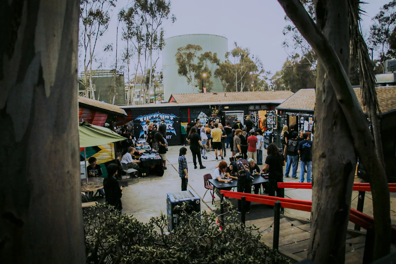 C-1.jpg