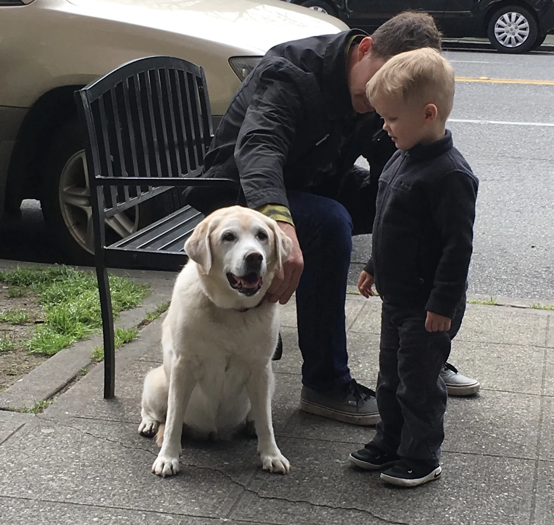 People always stopped to greet Latte.