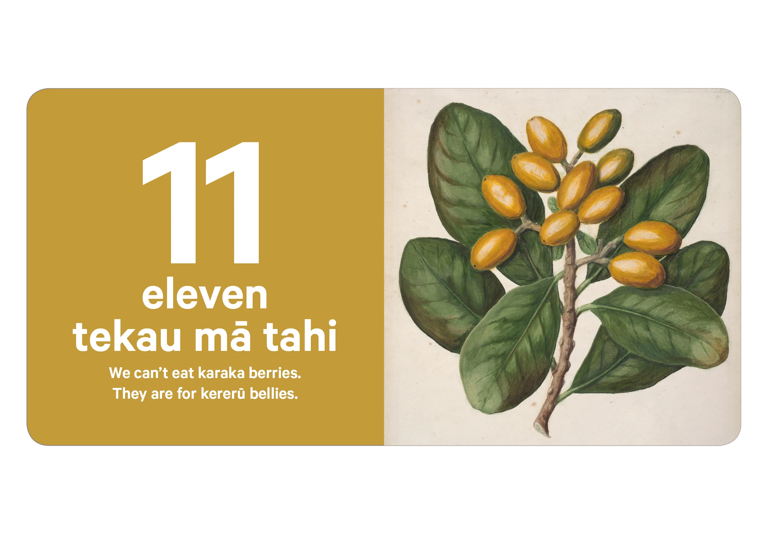 TePapa_Books10.jpg