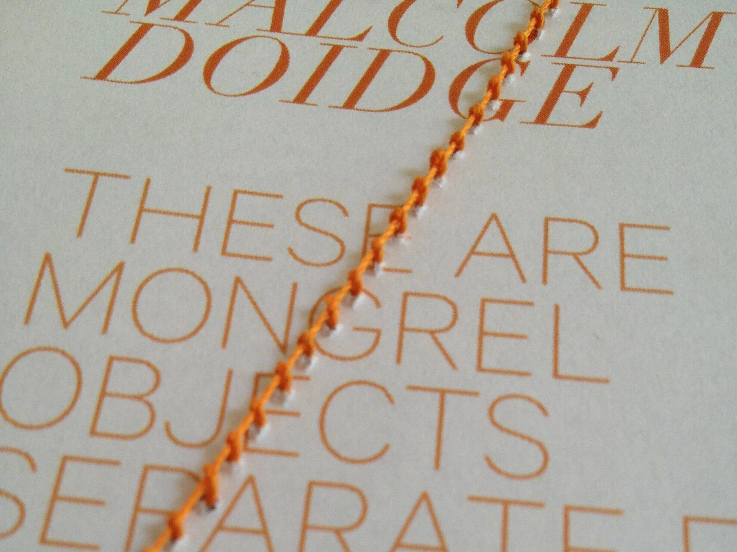  Strange Baroque Ecologies — a book publishing performance, City Gallery Wellington, 2013 