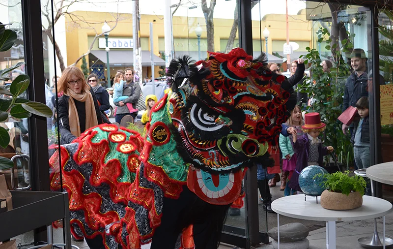 Lion blessing The Gardener