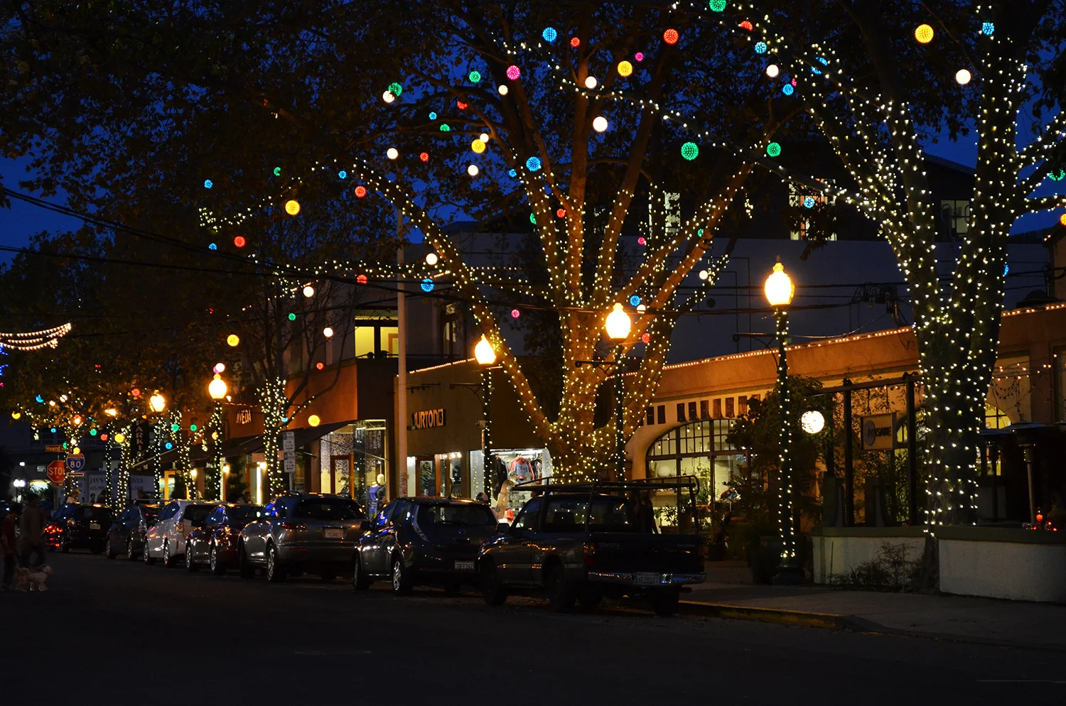 DSC_0086_lights.jpg