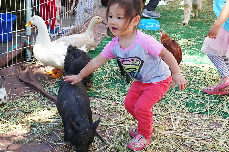 DSC02236zoogirlpig.jpg