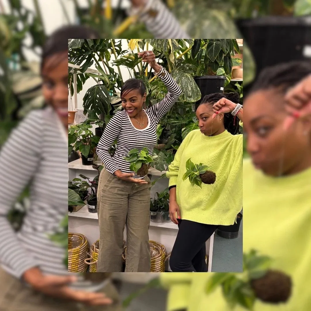 At Para&iacute;so Plant Studio, workshops offer time to learn, make, and be in community. From terrariums to private events, there&rsquo;s space for both beginners and experienced plant people.

April 3 | 10 am
Baby + Me: Beginner Terrarium

#fourths