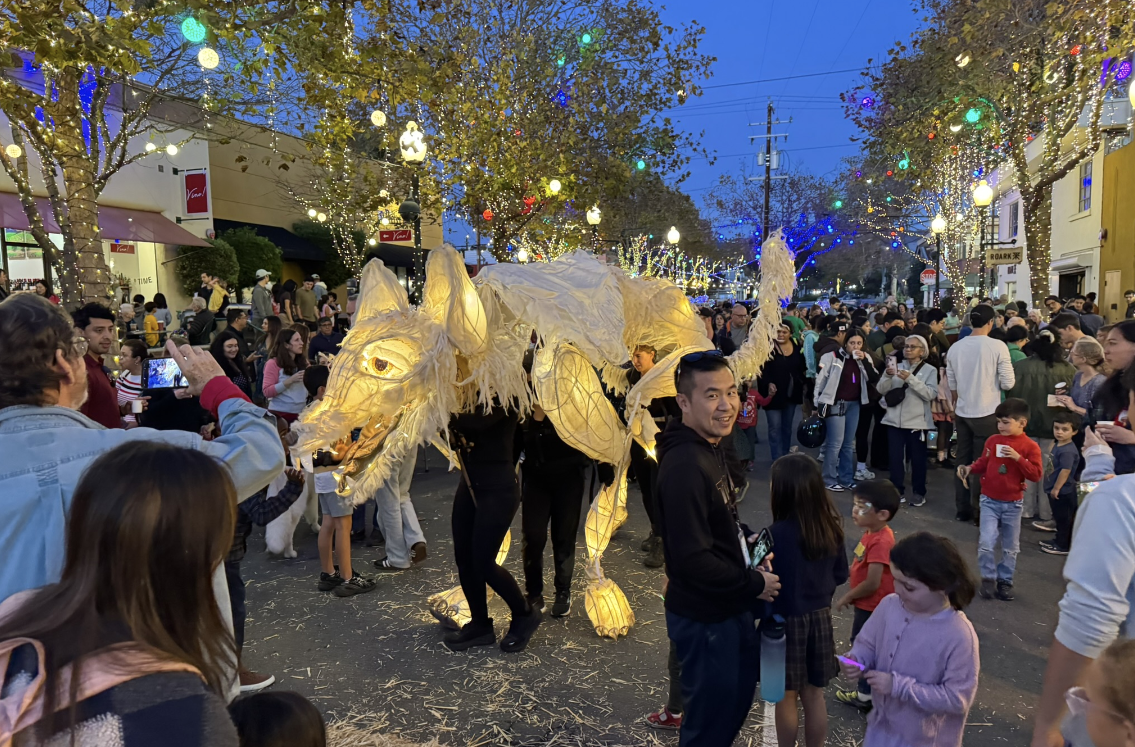 DAZZLING HOLIDAY LIGHTS FESTIVAL 2026