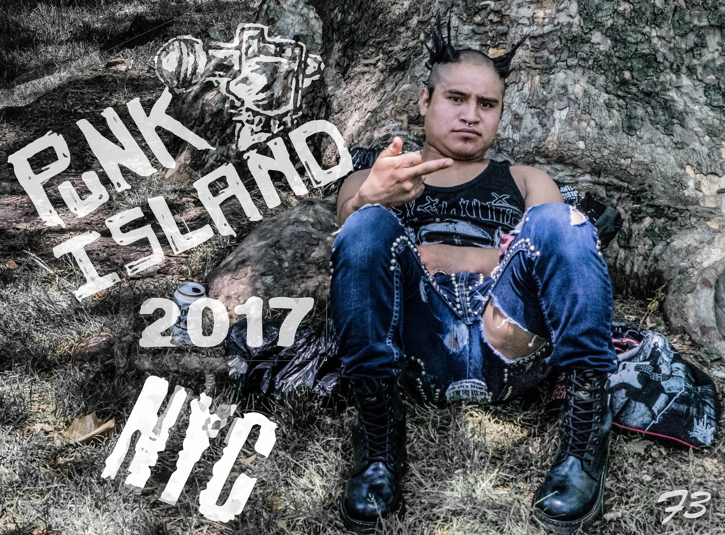 Punk Island 2017 cover.jpg