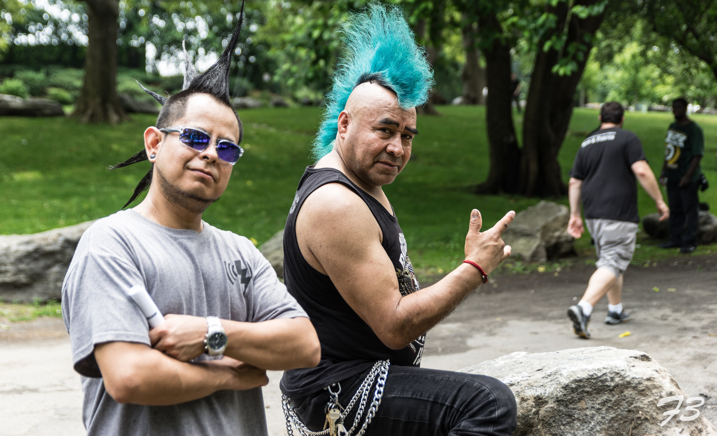 Punk Island 2017-2.jpg