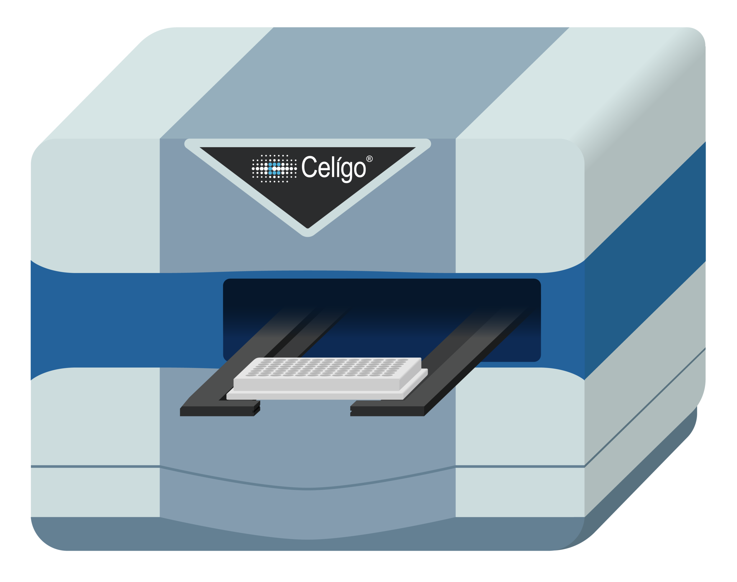 Video asset