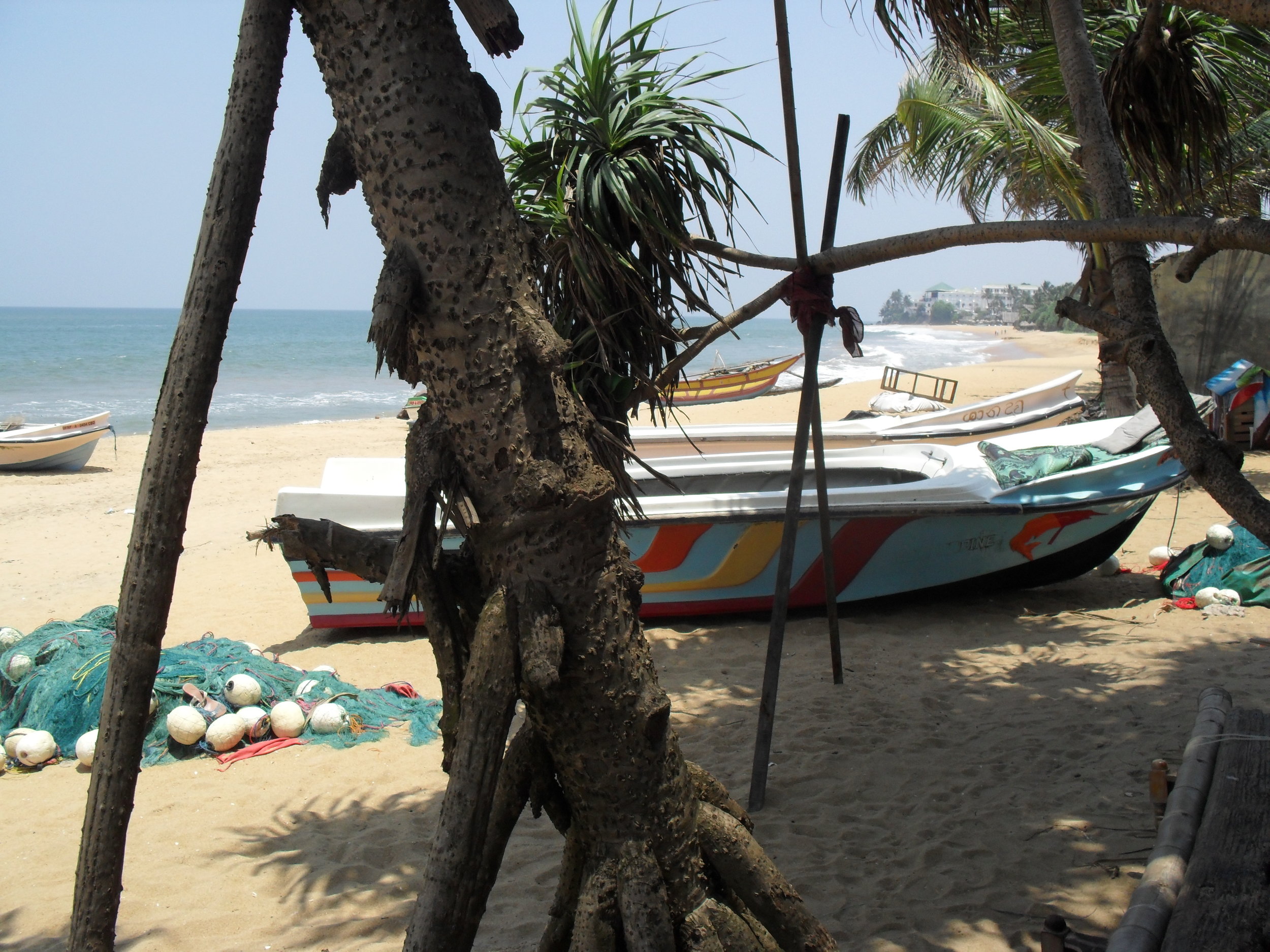  The beach prior to the 2015 storms