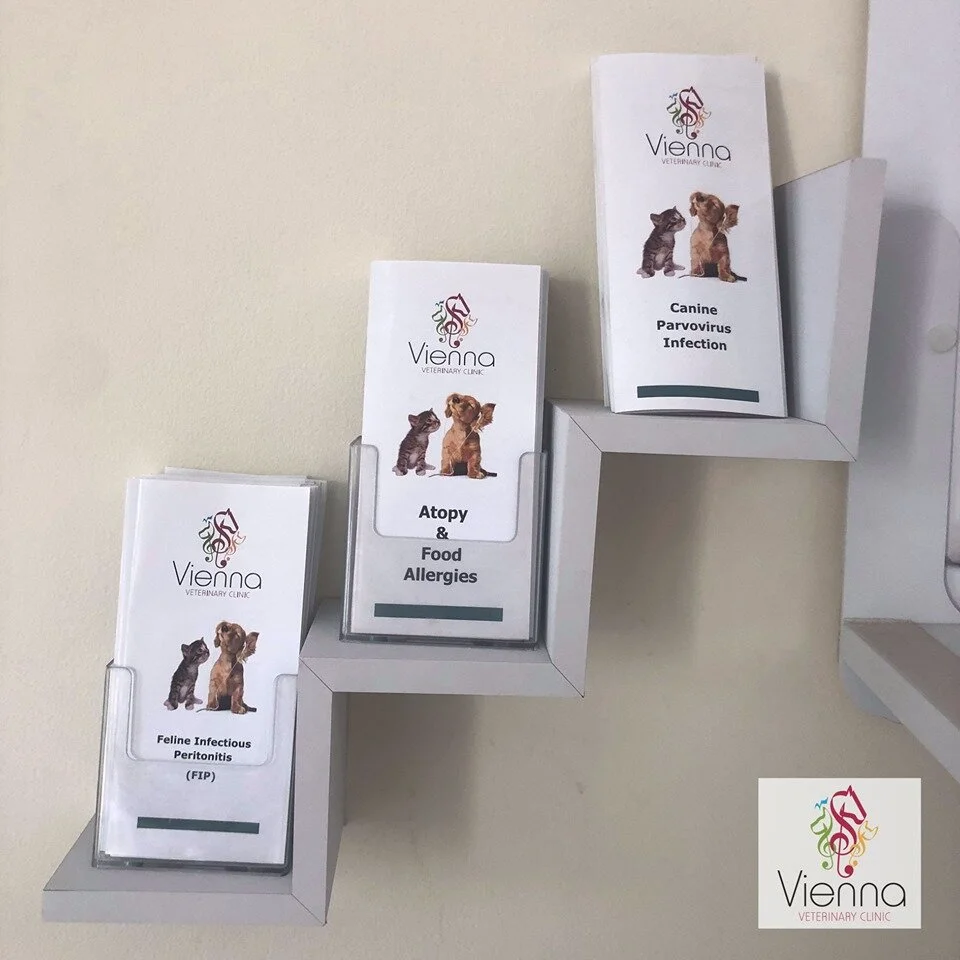 Flyers regarding veterinary care for your information and knowledge