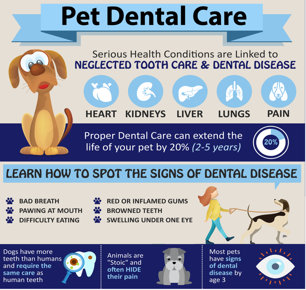 Fresh Facts About Your Pet's Dental Health — Vienna Veterinary Clinic