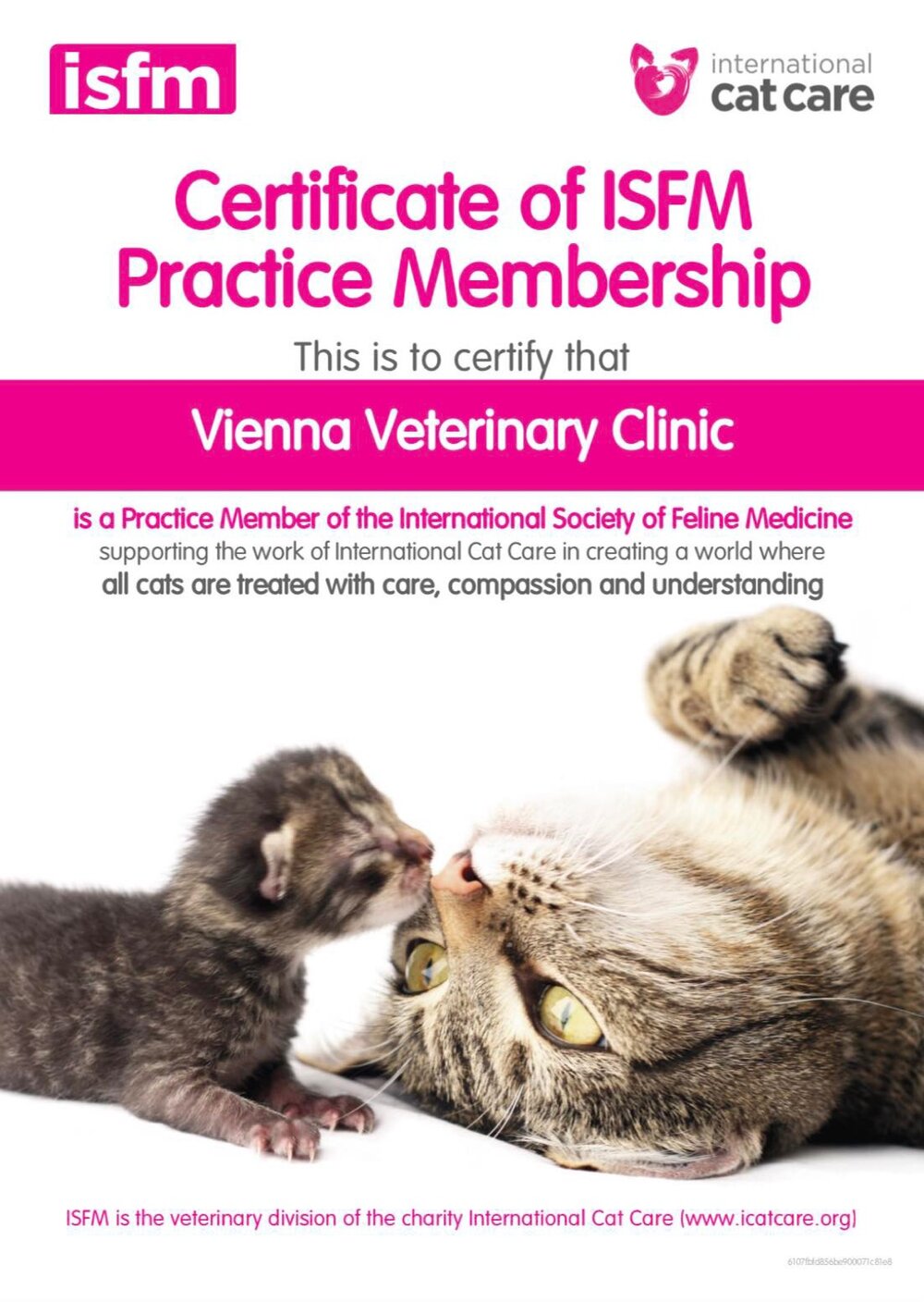 Vienna Veterinary Clinic