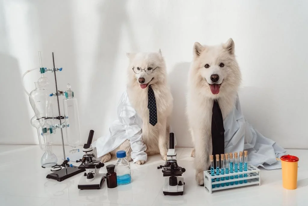 Vienna Veterinary Clinic