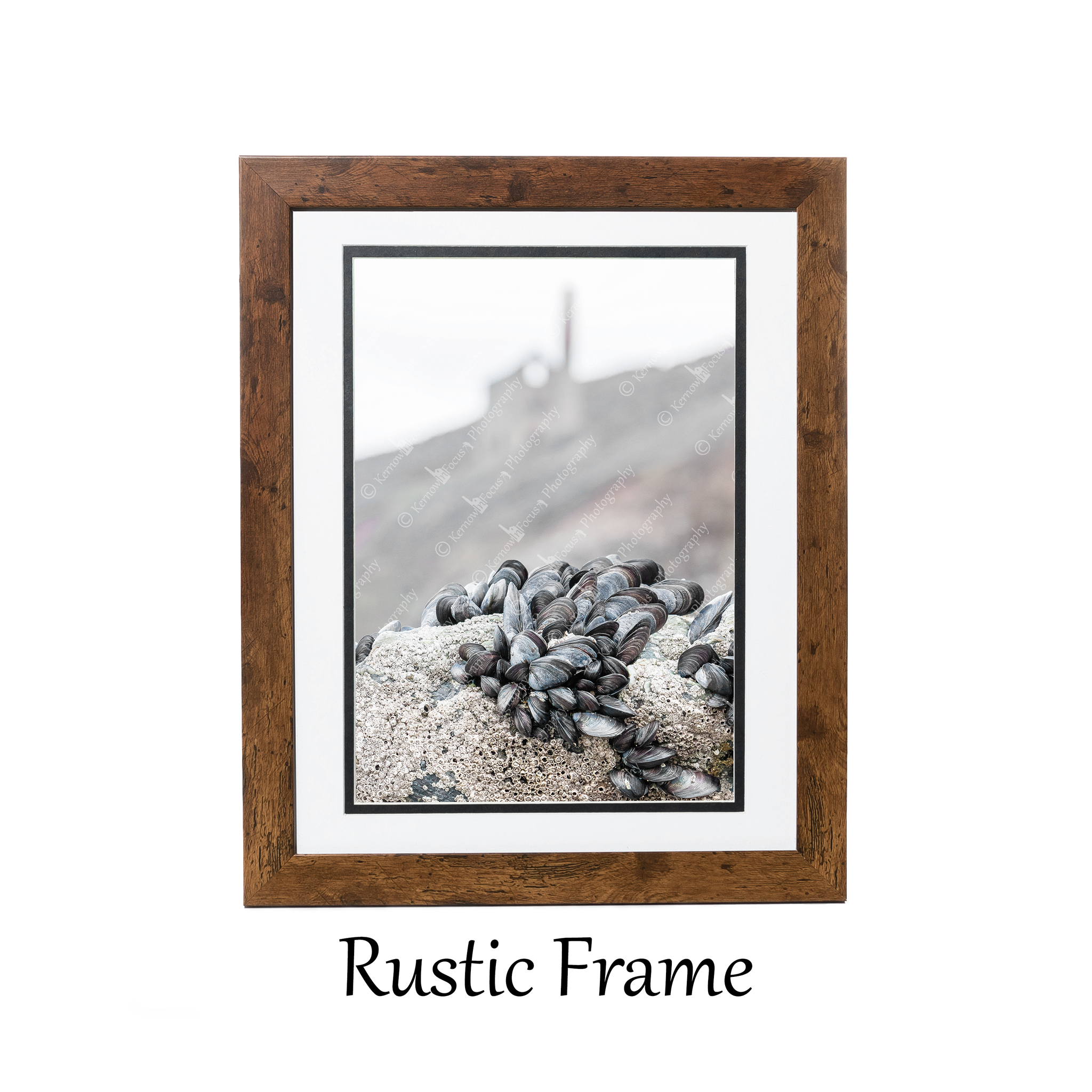 MusselsRustic.jpg