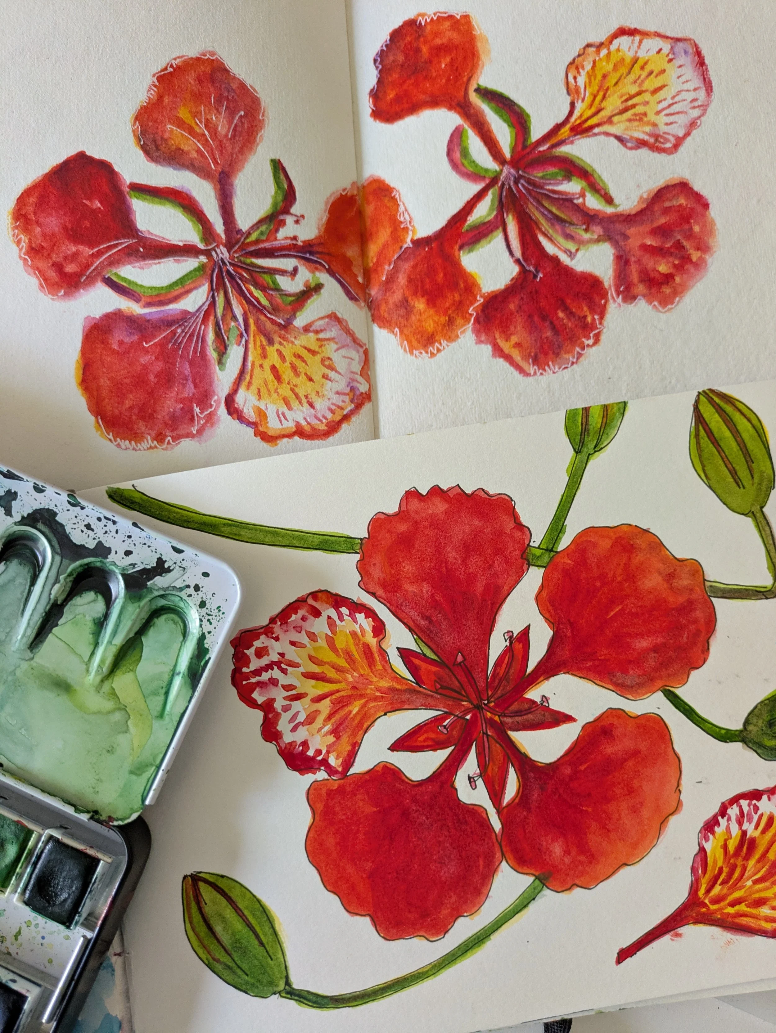 Flame Tree Flower Painting Workshop