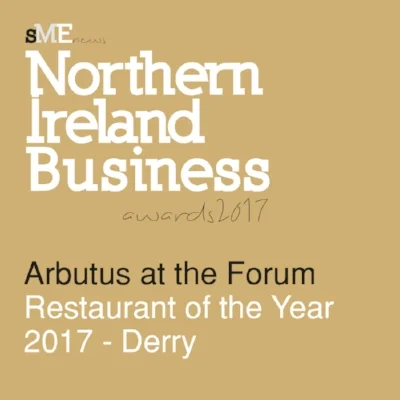 NIR17020-Northern Ireland Business Awards 2017 Winners Logo.jpg