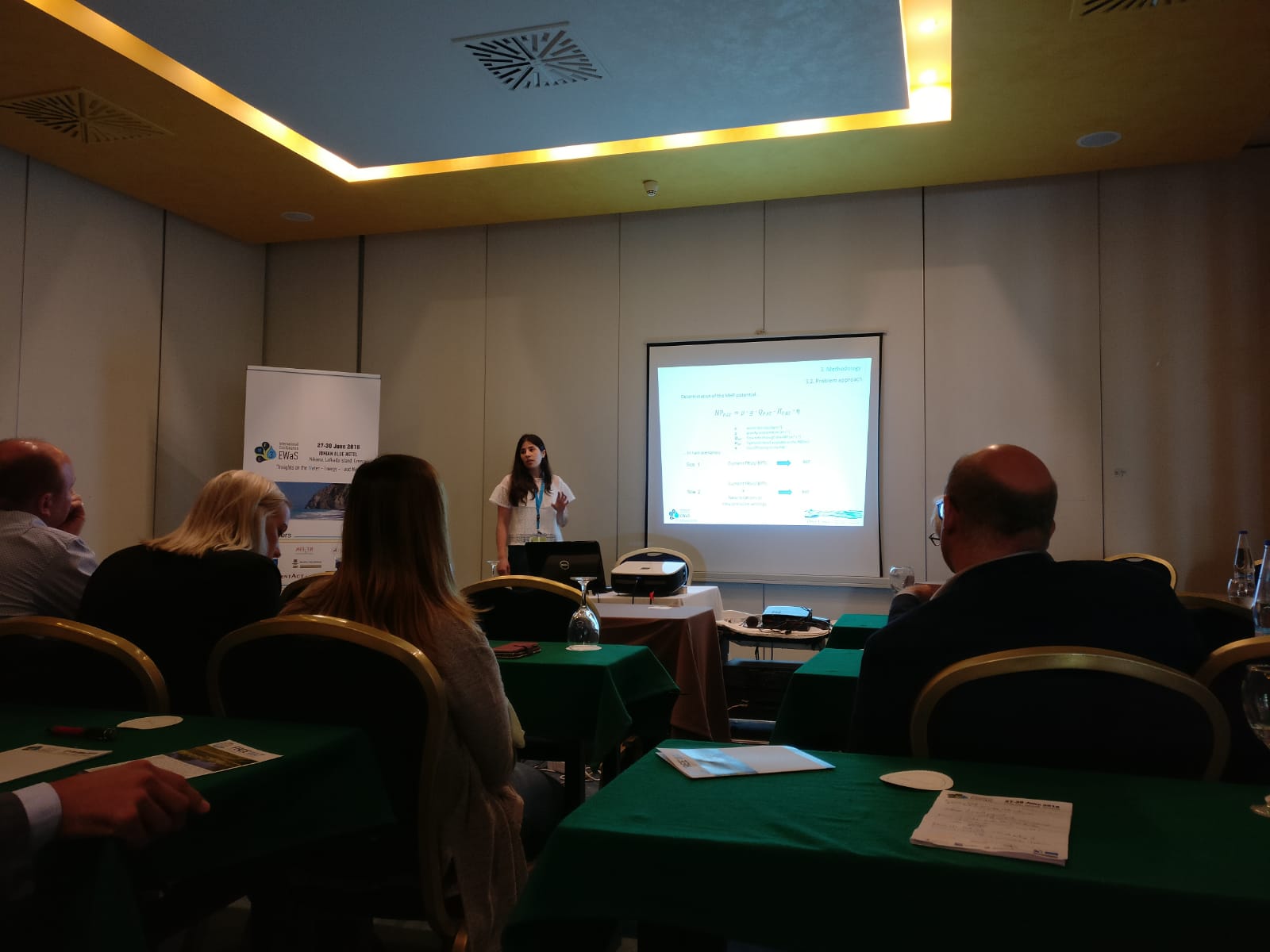 Irene Presenting.jpeg