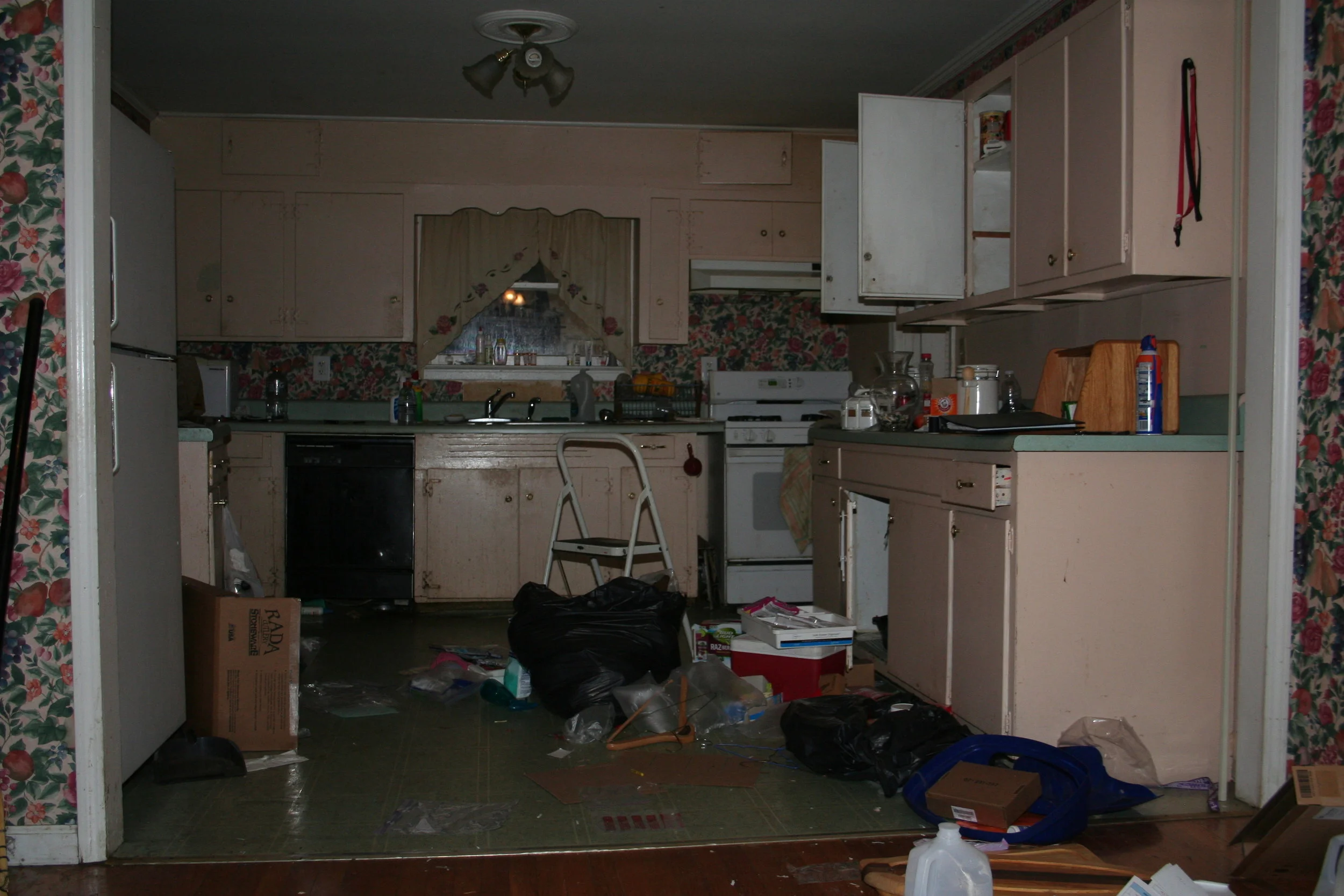 SOLID_Properties_Hanahan_kitchenbefore.JPG