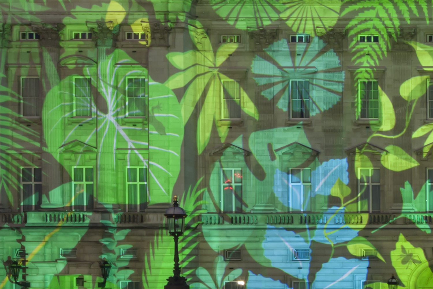 The project was commissioned by ITV ahead of the documentary, The Queen's Green Planet , an intimate conversation between the Queen and Sir David Attenborough.