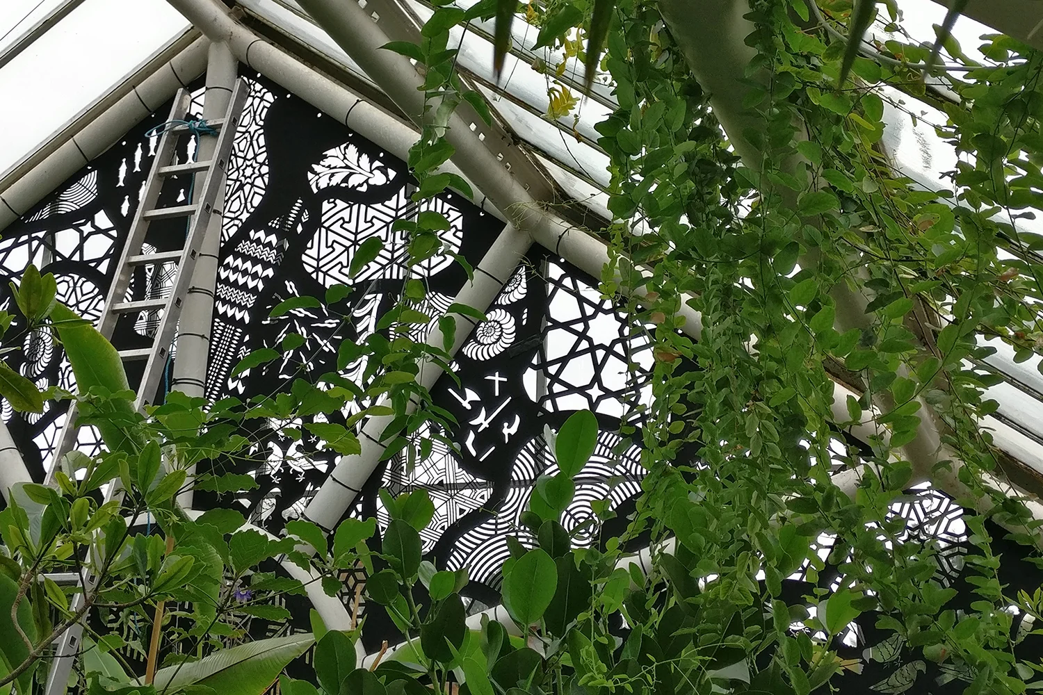 StudioCarromCAMBotanicGardens-Inside-01.jpg