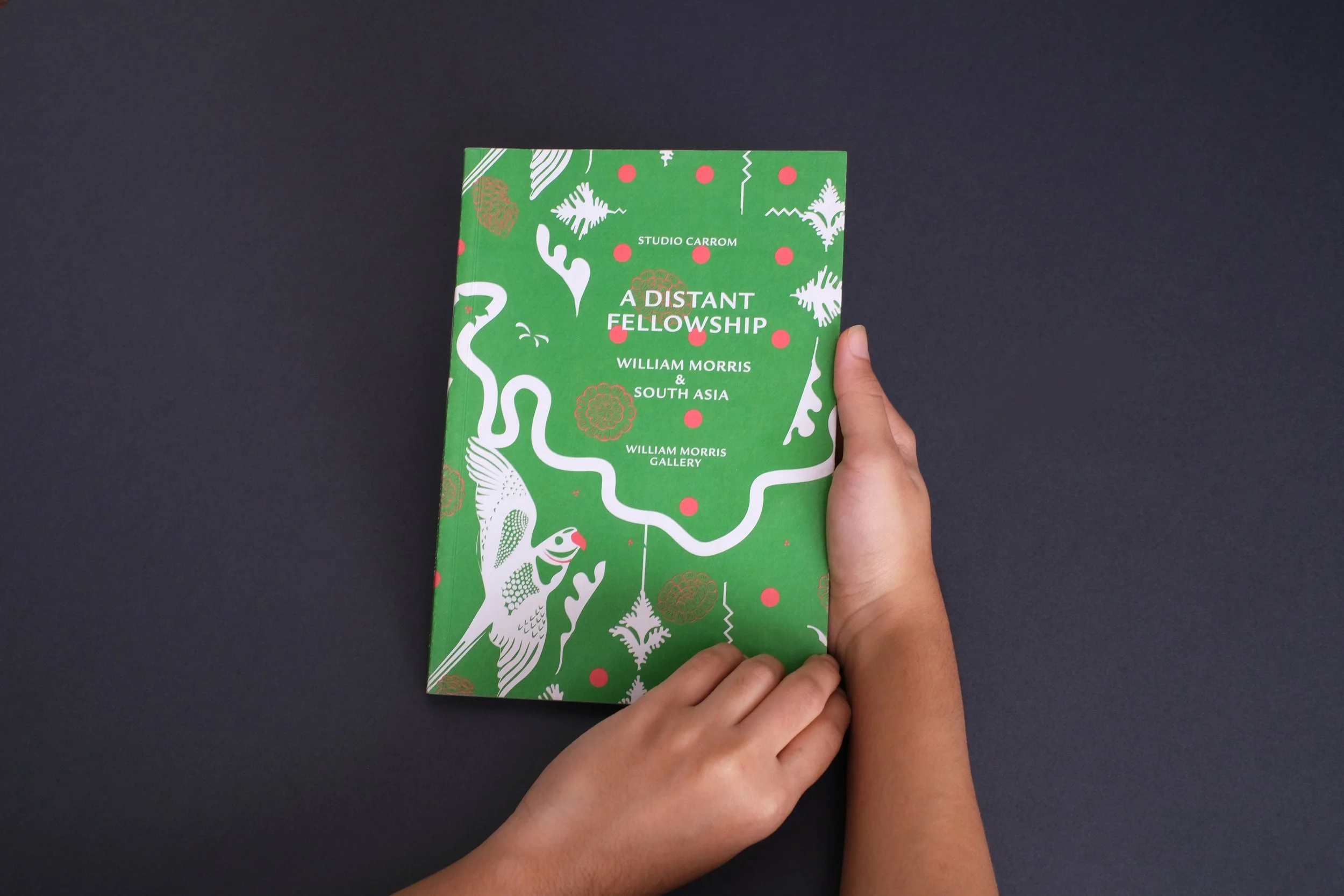 A READER & ALTERNATIVE GUIDE