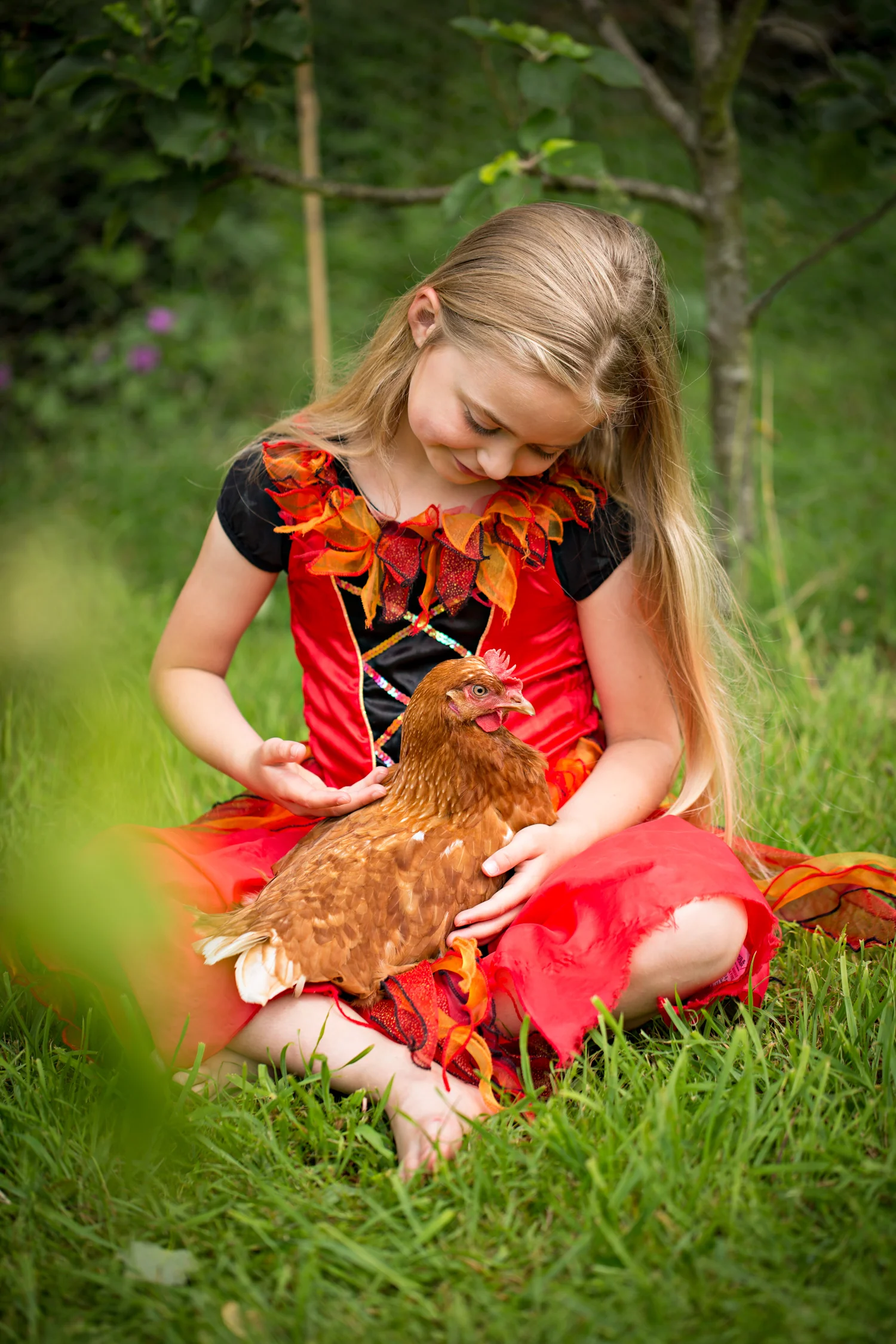 TABBY_HEN_05.jpg