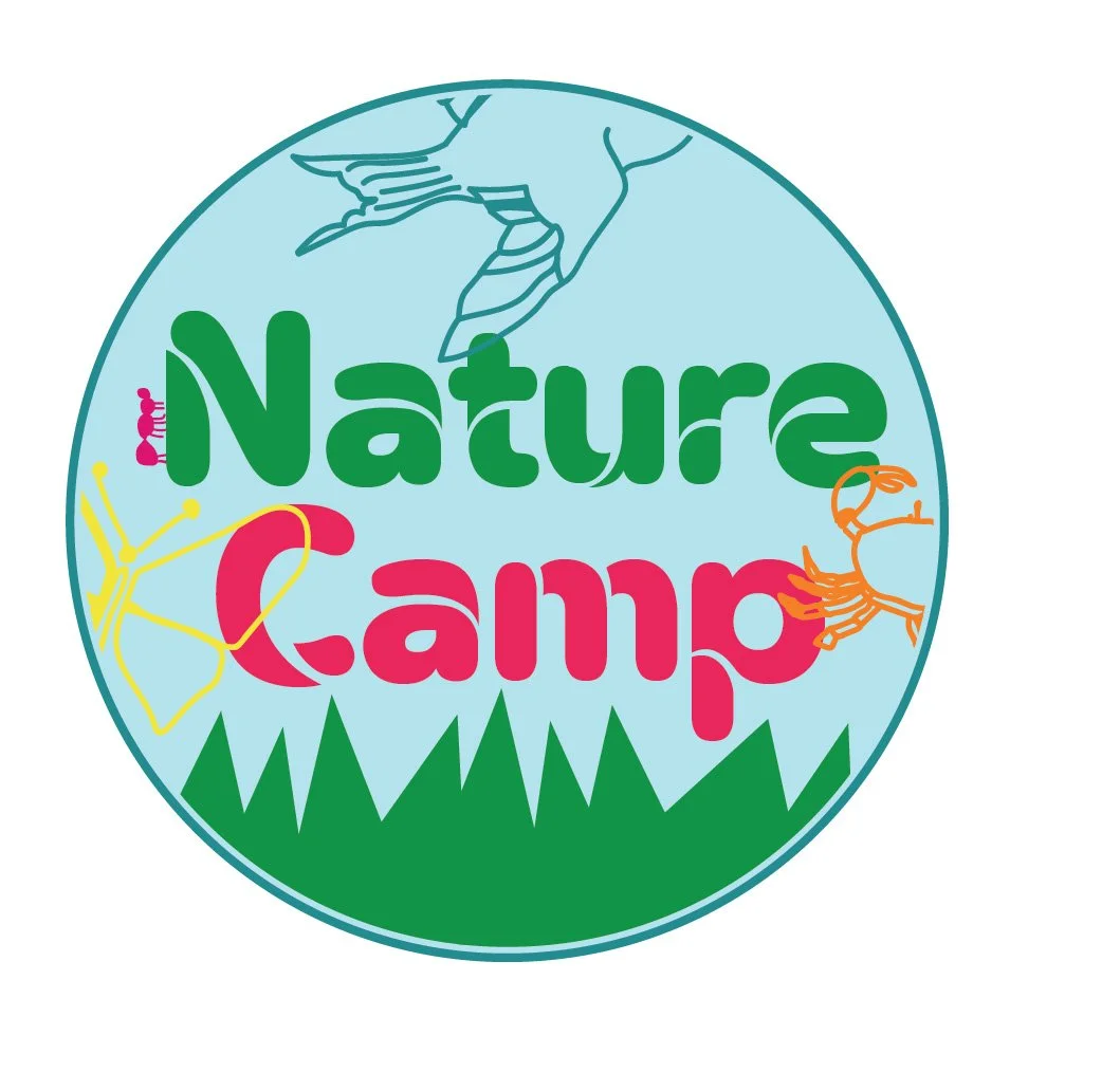 Nature_Camp_logo-01.jpg